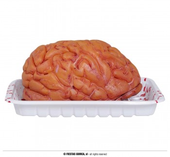 G24114 BANDEJA CEREBRO 20 CMS VINILO