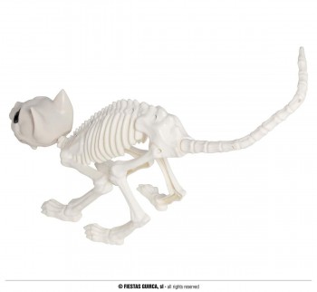 G24223 ESQUELETO GATO 48 CMS