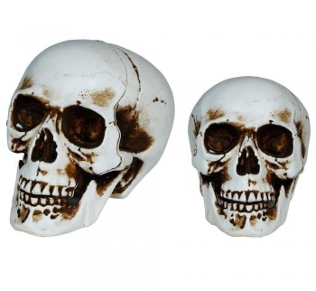 G29749 CALAVERA  20 CMS FOAM