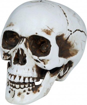 G29750 CALAVERA  22 CMS PVC